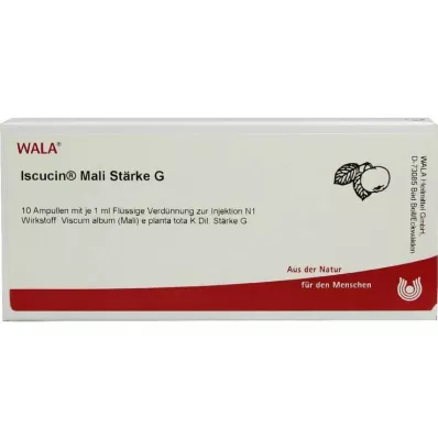 ISCUCIN mali Zetmeel G Ampullen, 10X1 ml