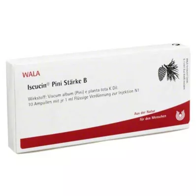 ISCUCIN pini Zetmeel B Ampullen, 10X1 ml ISCUCIN pini Zetmeel B Ampullen, 10X1 ml