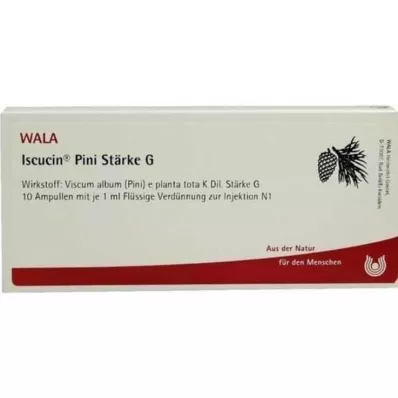 ISCUCIN pini Zetmeel G Ampullen, 10X1 ml ISCUCIN pini Zetmeel G Ampullen, 10X1 ml