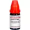 DULCAMARA LM XII Verdunning, 10 ml