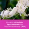 REMIFEMIN Tabletten