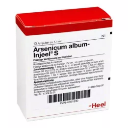 ARSENICUM ALBUM INJEEL S Ampullen, 10 stuks