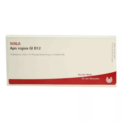 APIS REGINA GL D 12 Ampullen, 10X1 ml