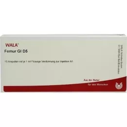 FEMUR GL D 5 ampullen, 10X1 ml