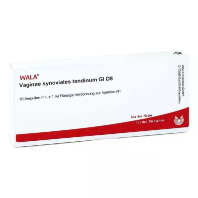 VAGINAE synoviaal tendinum GL D 8 ampullen, 10X1 ml VAGINAE synoviaal tendinum GL D 8 ampullen, 10X1 ml
