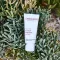 ALOE VERA CREME medium zonder parfum, 30 ml