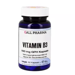VITAMIN B3 100 mg GPH Capsules, 60 st