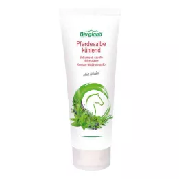 PFERDESALBE koeling, 100 ml