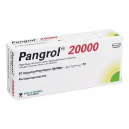 Pangrol 20000 maagsapresistente tabletten, 50 stuks