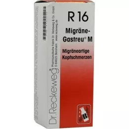 MIGRÄNE-GASTREU M R16-mengsel, 50 ml