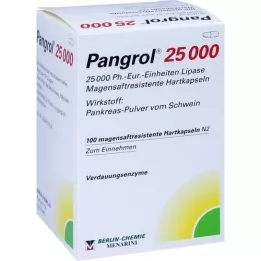 PANGROL 25.000 harde doppen met enterische coating, 100 stuks