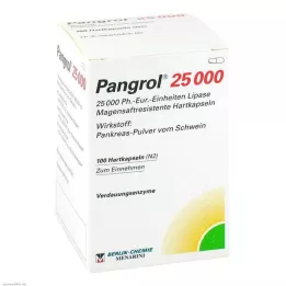 Pangrol 25000 harde capsules met maagsapresistente omhulde huid, 100 stuks