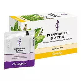 PFEFFERMINZBLÄTTER Theefilterzakje, 20X1,5 g