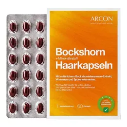 BOCKSHORN+micronutriënt haarcapsules Tisane plus, 60 stuks