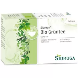 SIDROGA Wellness Groene Thee Filterzakje, 20X1.7 g