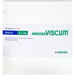 ABNOBAVISCUM Betulae 0,2 mg Ampullen, 48 stuks