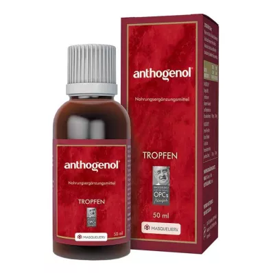 ANTHOGENOL Masquelier OPC Druppels, 50 ml