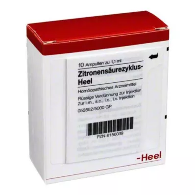 ZITRONENSÄUREZYKLUS Hielampullen, 10 stuks ZITRONENSÄUREZYKLUS Hielampullen, 10 stuks