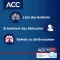 ACC acute 600 bruistabletten, 10 stuks