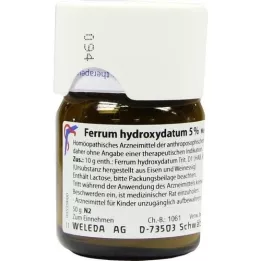 FERRUM HYDROXYDATUM 5% trituratie, 50 g