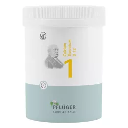 BIOCHEMIE ploegerspleister 1 Calcium fluoratum D 12 bl, 1000 st