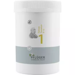 BIOCHEMIE ploegerspleister 1 Calcium fluoratum D 12 bl, 4000 st