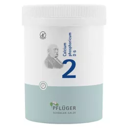 BIOCHEMIE ploegerspleister 2 Calcium phosphoricum D 6 bl, 1000 st