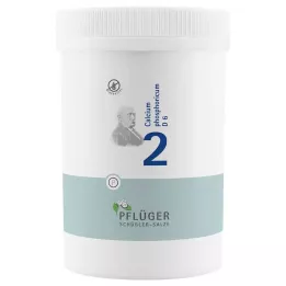 BIOCHEMIE Ploegmakerspleister 2 Calcium phosphoricum D 6 bl, 4000 st