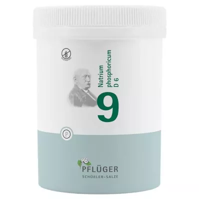 BIOCHEMIE Ploegerspleister 9 Natrium phosphoricum D 6 tbl, 1000 stuks BIOCHEMIE Ploegerspleister 9 Natrium phosphoricum D 6 tbl, 1000 stuks