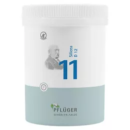 BIOCHEMIE Ploughmans Pleister 11 Silicea D 12 Tabletten, 1000 stuks
