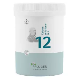 BIOCHEMIE Ploegpleister 12 Calcium sulphuricum D 6 bl, 1000 st