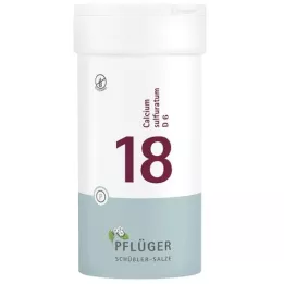 BIOCHEMIE Ploegpleister 18 Calcium sulphuratum D 6 bl, 400 st