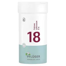 BIOCHEMIE Ploegpleister 18 Calcium sulphuratum D 6 bl, 400 st