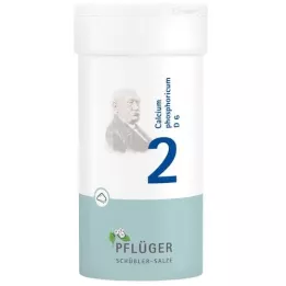 BIOCHEMIE Ploughmans Pleister 2 Calcium phosphoricum D 6 Poeder, 100 g