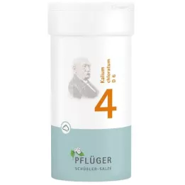 BIOCHEMIE Ploegpleister 4 Kalium chloratum D 6 Poeder, 100 g