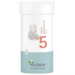 BIOCHEMIE Ploegpleister 5 Kalium phosphoricum D 6 Poeder, 100 g