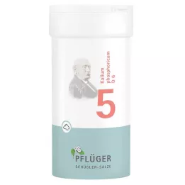 BIOCHEMIE Ploegpleister 5 Kalium phosphoricum D 6 Poeder, 100 g