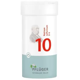 BIOCHEMIE Ploegpleister 10 Natrium sulphuricum D 6 poeder, 100 g