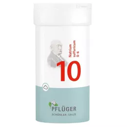 BIOCHEMIE Ploegpleister 10 Natrium sulphuricum D 6 poeder, 100 g