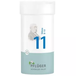 BIOCHEMIE Ploughmans 11 Silicea D 12 Poeder, 100 g