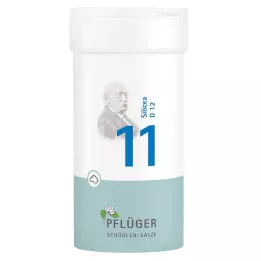 BIOCHEMIE Ploughmans 11 Silicea D 12 Poeder, 100 g