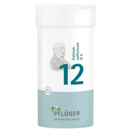 BIOCHEMIE Ploughmans Remedy 12 Calcium sulphuricum D 6 Poeder, 100 g