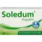 SOLEDUM 100 mg enteric-gecoate capsules, 100 stuks