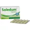 SOLEDUM 100 mg enteric-gecoate capsules, 100 stuks