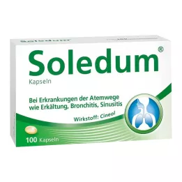 SOLEDUM 100 mg enteric-gecoate capsules, 100 stuks