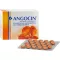 ANGOCIN Anti Infekt N Filmomhulde Tabletten, 200 Capsules