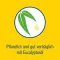 PINIMENTHOL Koud bad voor kind vanaf 2 jaar Eucalyptus, 30 ml