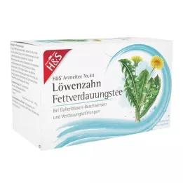 H&S paardenbloemfilterzakje, 20X2,0 g