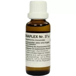 REGENAPLEX Nr.37 a druppels, 30 ml