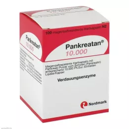 PANKREATAN 10.000 harde capsules met enterische laag, 100 stuks